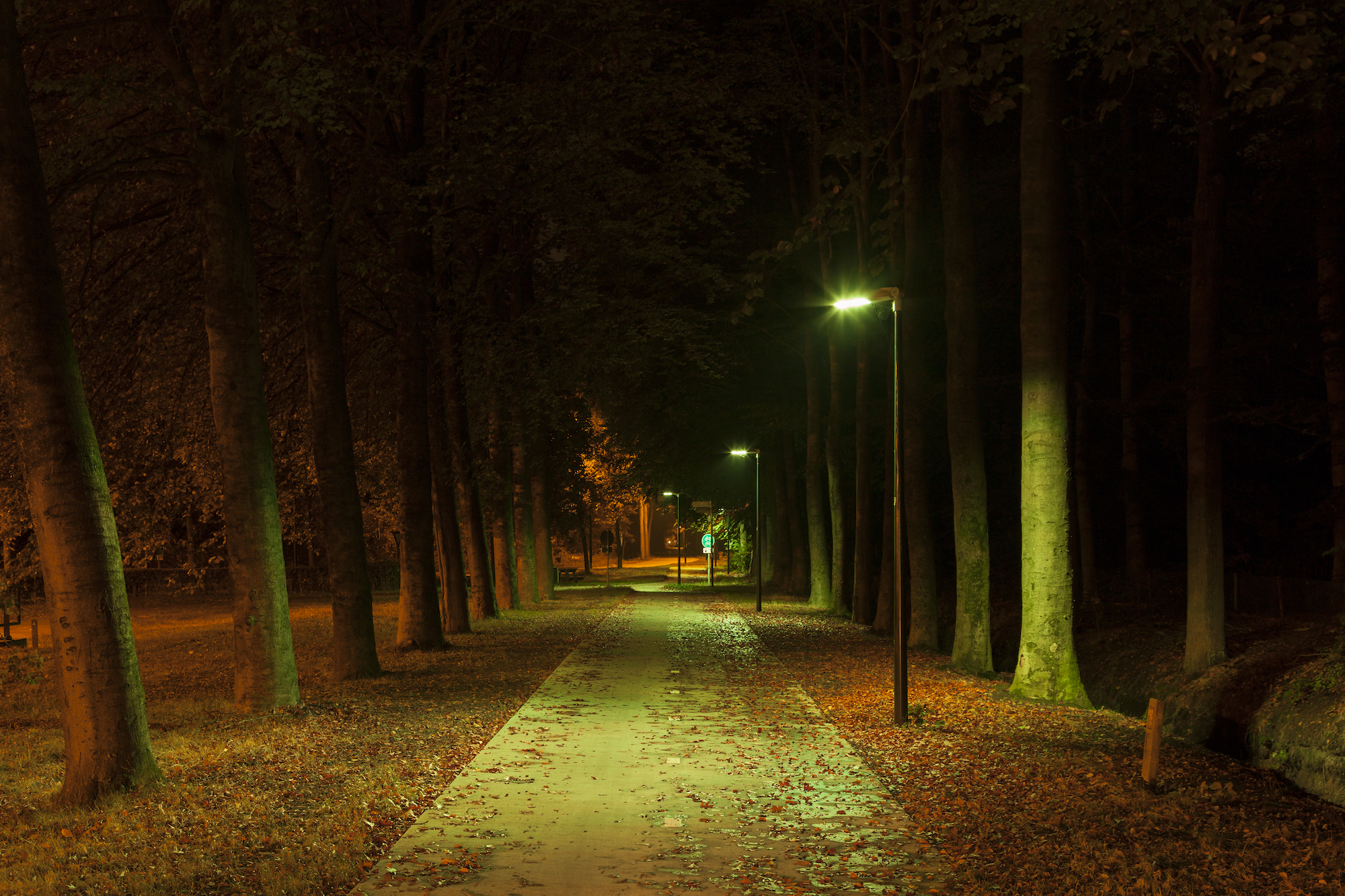 _MG_9467_LR