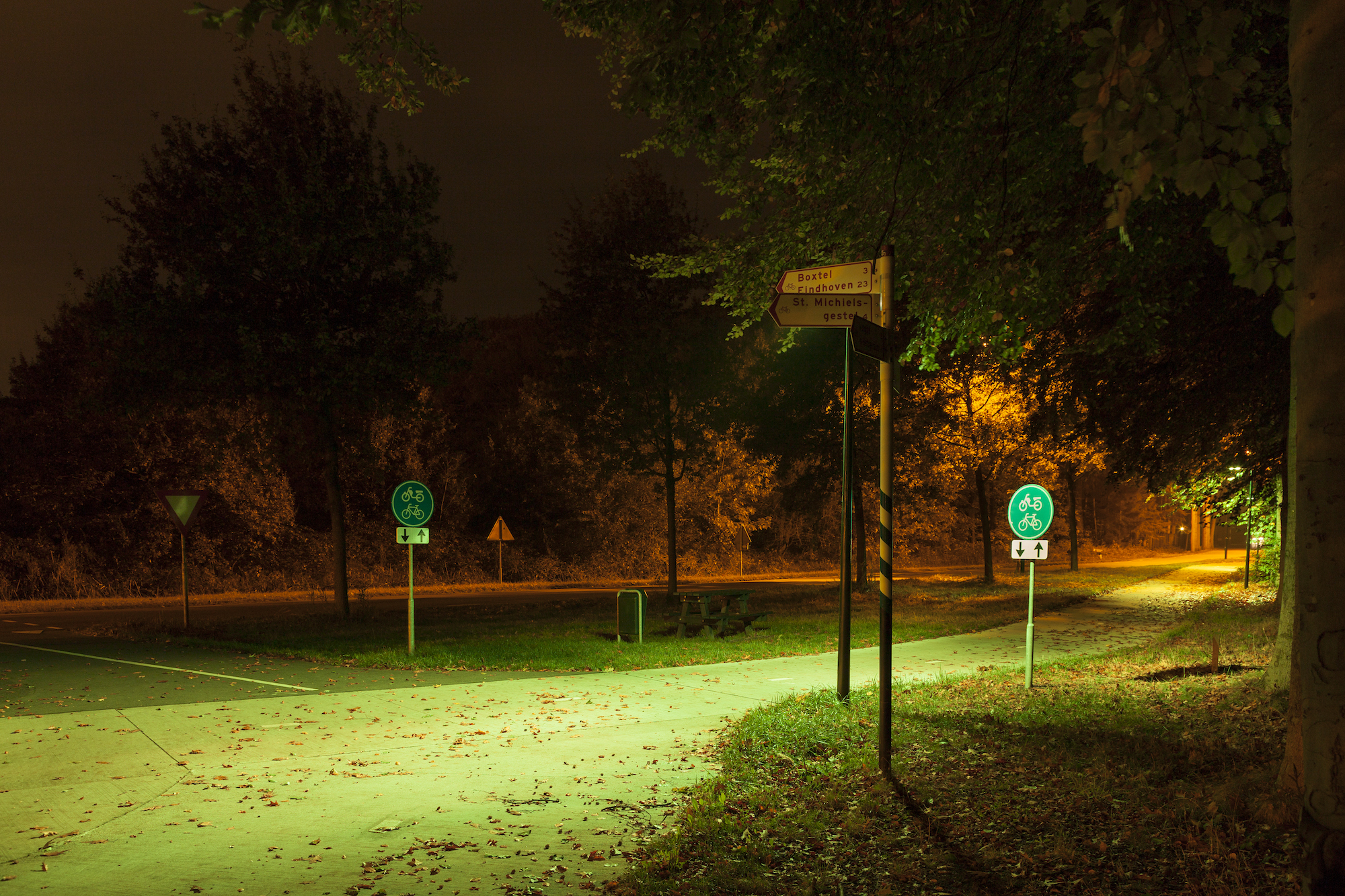 _MG_9469_LR