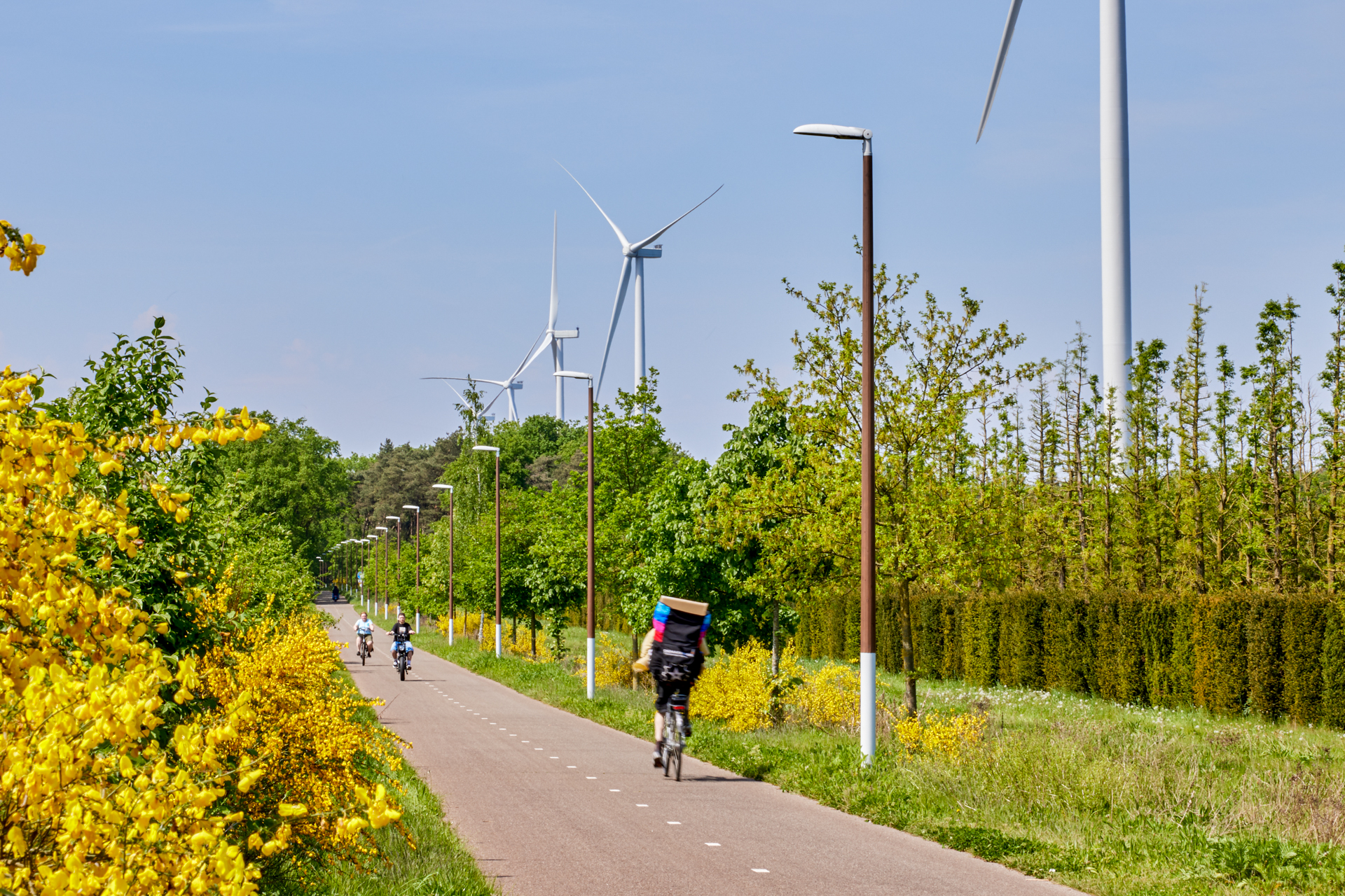 WHS - Innolumis-Venlo_343-web