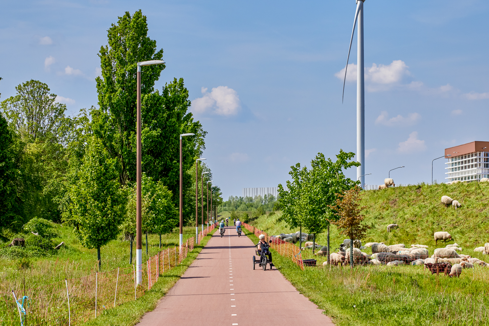 WHS - Innolumis-Venlo_706-web
